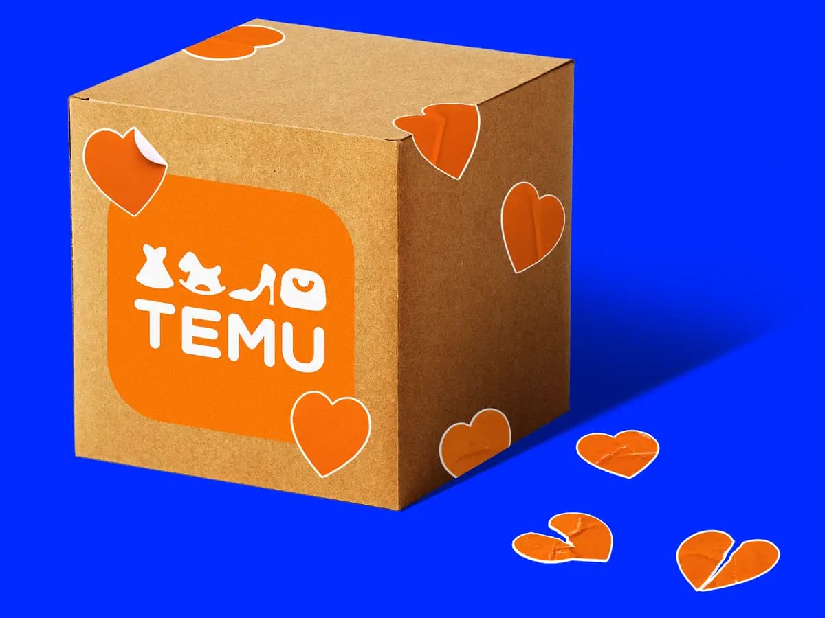 Who Is Responsible for Paying Temu Import Tax?