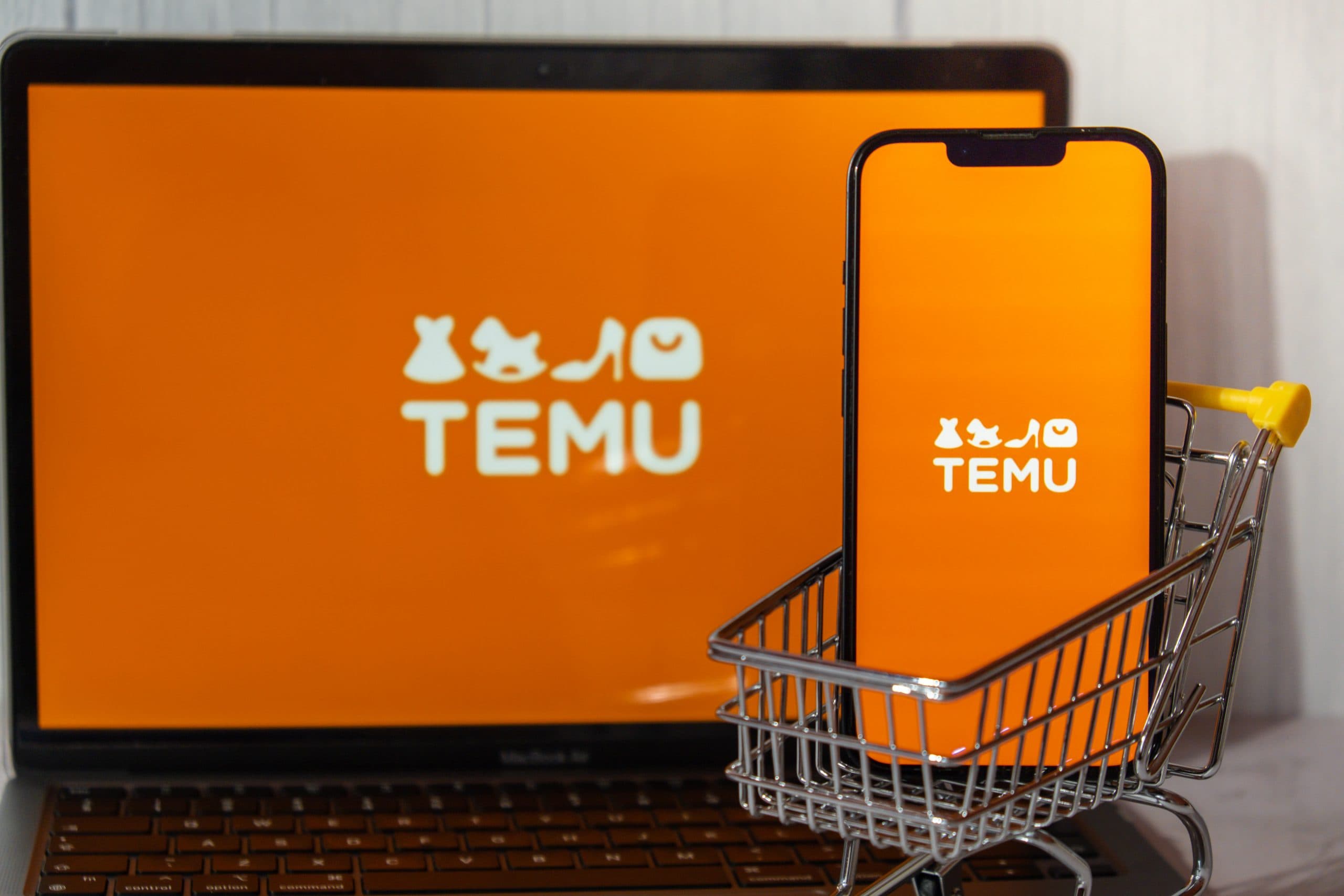 Why the Temu Loyalty Program Stands Out