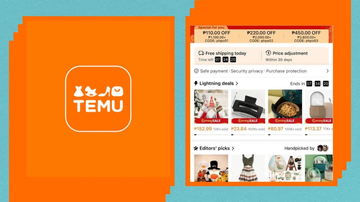 Types of discounts available on Temu today